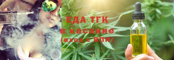 гашик Алексин