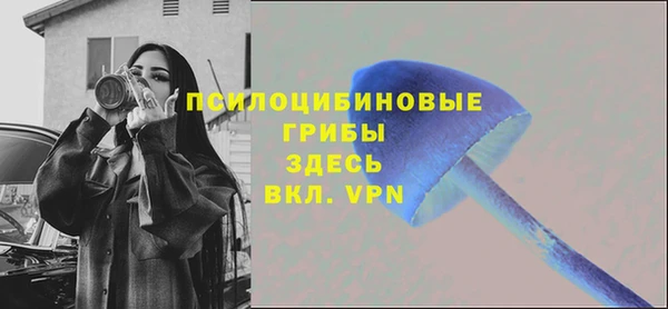 гашик Алексин