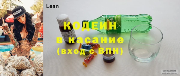 гашик Алексин